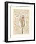 Chiaroscuro II-Amy Melious-Framed Art Print