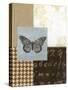 Chic Butterfly II-Norman Wyatt Jr.-Stretched Canvas