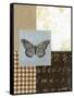 Chic Butterfly II-Norman Wyatt Jr.-Framed Stretched Canvas