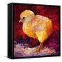 Chic Flic III-Marion Rose-Framed Stretched Canvas