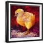 Chic Flic III-Marion Rose-Framed Giclee Print