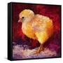 Chic Flic III-Marion Rose-Framed Stretched Canvas
