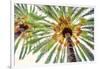 Chic Palms I-Acosta-Framed Art Print