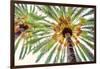 Chic Palms I-Acosta-Framed Art Print