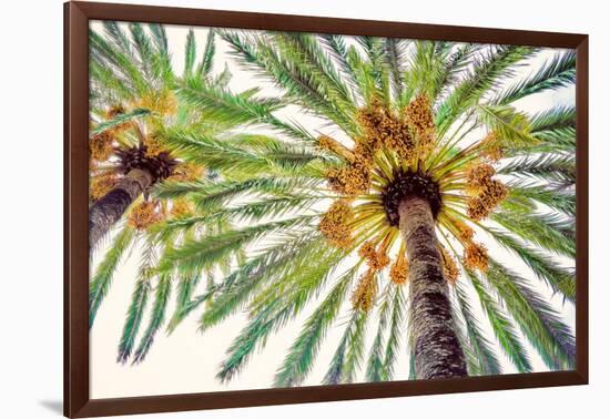 Chic Palms I-Acosta-Framed Art Print