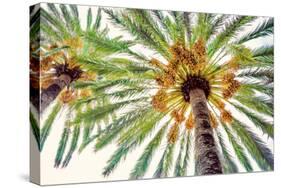 Chic Palms I-Acosta-Stretched Canvas