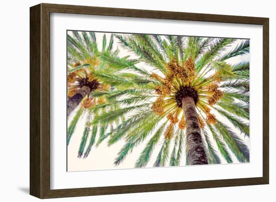 Chic Palms I-Acosta-Framed Art Print