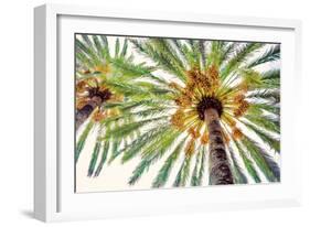 Chic Palms I-Acosta-Framed Art Print