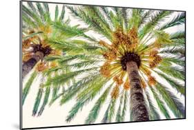 Chic Palms I-Acosta-Mounted Art Print