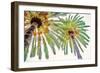 Chic Palms II-Acosta-Framed Art Print