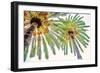 Chic Palms II-Acosta-Framed Art Print