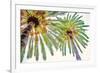 Chic Palms II-Acosta-Framed Premium Giclee Print