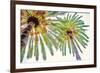 Chic Palms II-Acosta-Framed Premium Giclee Print