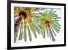 Chic Palms II-Acosta-Framed Premium Giclee Print
