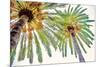 Chic Palms II-Acosta-Mounted Premium Giclee Print
