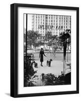 Chic Woman Walking Her Poodles Along Sidewalk on Fifth Avenue-Alfred Eisenstaedt-Framed Photographic Print
