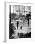 Chic Woman Walking Her Poodles Along Sidewalk on Fifth Avenue-Alfred Eisenstaedt-Framed Photographic Print