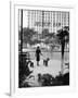 Chic Woman Walking Her Poodles Along Sidewalk on Fifth Avenue-Alfred Eisenstaedt-Framed Photographic Print