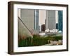 Chicago 350-Jessica Levant-Framed Photographic Print