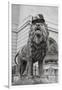 Chicago Art Institute Lion-Patrick Warneka-Framed Photographic Print