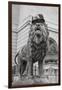 Chicago Art Institute Lion-Patrick Warneka-Framed Photographic Print