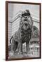 Chicago Art Institute Lion-Patrick Warneka-Framed Photographic Print