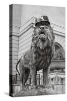 Chicago Art Institute Lion-Patrick Warneka-Stretched Canvas