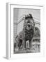 Chicago Art Institute Lion-Patrick Warneka-Framed Premium Photographic Print