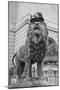 Chicago Art Institute Lion-Patrick Warneka-Mounted Premium Photographic Print