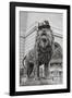 Chicago Art Institute Lion-Patrick Warneka-Framed Photographic Print