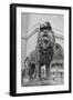 Chicago Art Institute Lion-Patrick Warneka-Framed Photographic Print