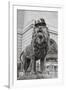 Chicago Art Institute Lion-Patrick Warneka-Framed Premium Photographic Print