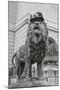 Chicago Art Institute Lion-Patrick Warneka-Mounted Premium Photographic Print