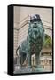 Chicago Art Institute Lion-Patrick Warneka-Framed Stretched Canvas