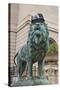 Chicago Art Institute Lion-Patrick Warneka-Stretched Canvas