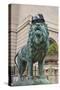 Chicago Art Institute Lion-Patrick Warneka-Stretched Canvas