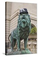 Chicago Art Institute Lion-Patrick Warneka-Stretched Canvas