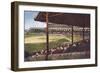 Chicago Baseball Field-null-Framed Art Print