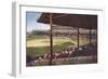 Chicago Baseball Field-null-Framed Art Print