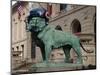Chicago Bears Helmet On Lion-Patrick Warneka-Mounted Photographic Print