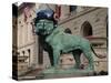 Chicago Bears Helmet On Lion-Patrick Warneka-Stretched Canvas