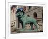 Chicago Bears Helmet On Lion-Patrick Warneka-Framed Photographic Print