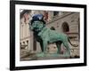 Chicago Bears Helmet On Lion-Patrick Warneka-Framed Photographic Print