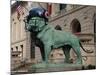 Chicago Bears Helmet On Lion-Patrick Warneka-Mounted Photographic Print
