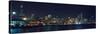 Chicago Bears NFC 2007 Skyline-Patrick Warneka-Stretched Canvas