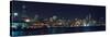 Chicago Bears NFC 2007 Skyline-Patrick Warneka-Stretched Canvas