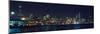 Chicago Bears NFC 2007 Skyline-Patrick Warneka-Mounted Photographic Print