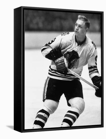 Chicago Black Hawk Ice Hockey Player Bobby Hull During Game-Art Rickerby-Framed Stretched Canvas
