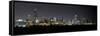 Chicago Blackhawks Skyline Lakefront-Patrick Warneka-Framed Stretched Canvas