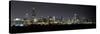 Chicago Blackhawks Skyline Lakefront-Patrick Warneka-Stretched Canvas